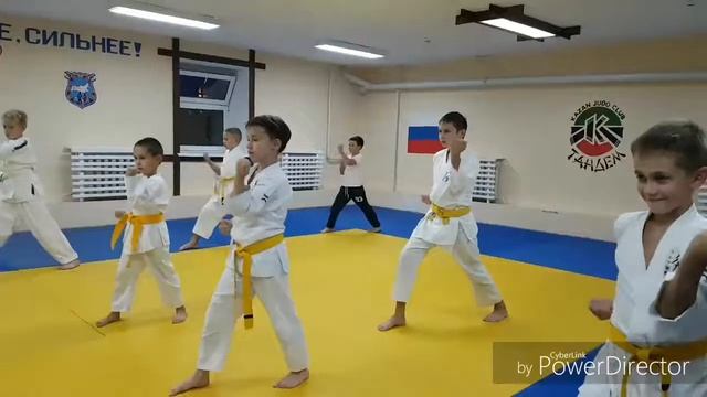 Чем заняться, если не чем заняться? Ударка, борьба, набивка