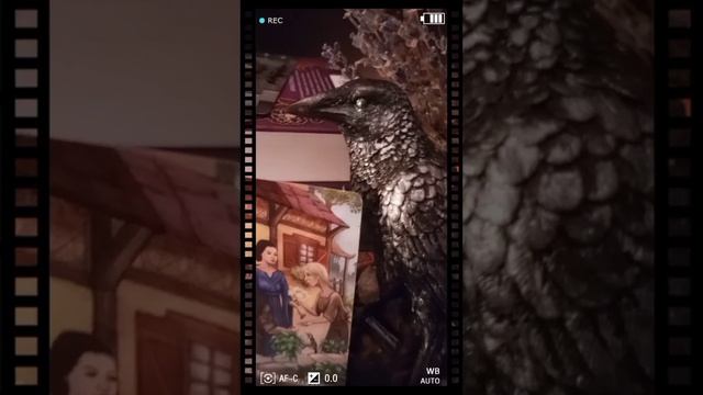 ТАРО советы МУДРОГО ВОРОНА https://t.me/Numermariya   http://tarologlife.ru