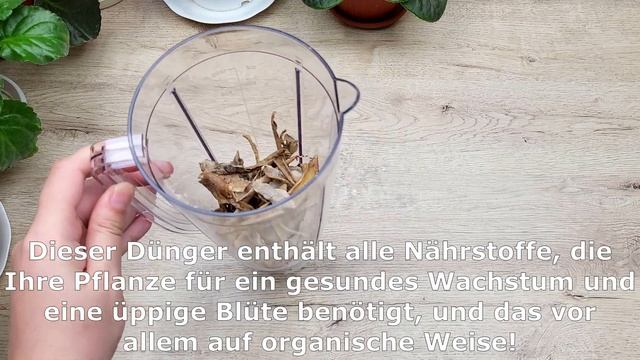 👍Ein einfacher und KOSTENLOSER Dünger für JEDE Pflanze! Sie werden wachsen und blühen wie verrückt!