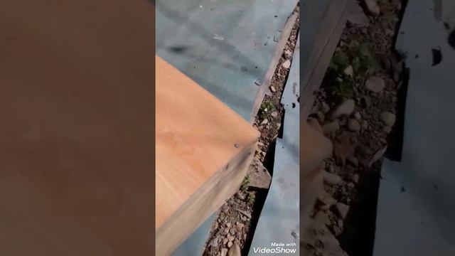 домик для Джеки.