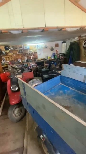 Квадроцикл зид тарпан 250 мотороллер муравей 250 #shorts