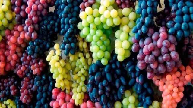 (144) Cómo desenmascarar a LOS IMPOSTORES DEL VINO