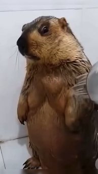 Чистый четверг 🫧
