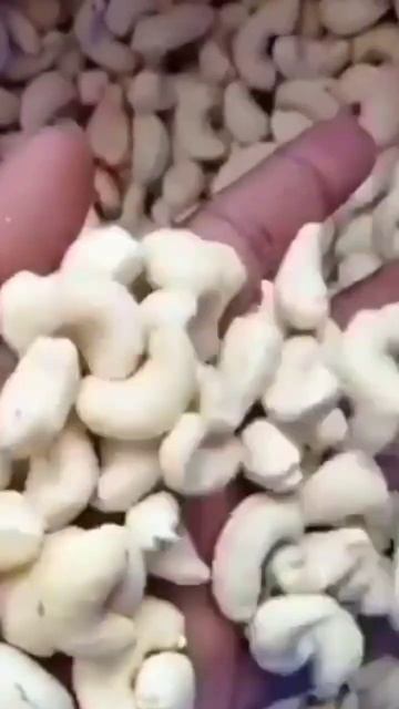 #cashewnut #nuts #reels #fruit #reelsvideo #natural #trending #viral