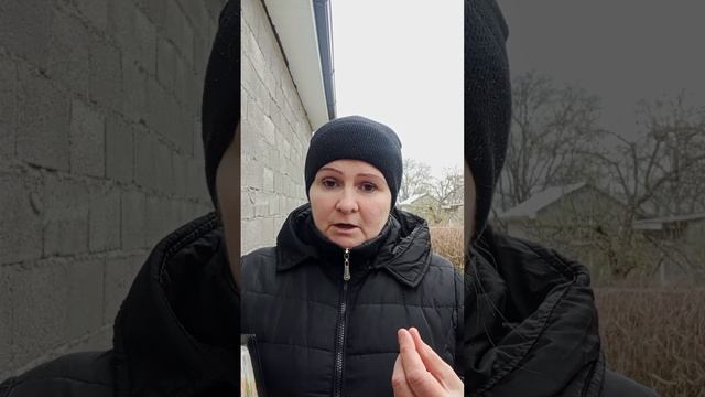 Православные защищает Апостольские правила