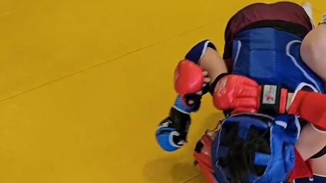 Кубок Ростова-на-Дону по миксфайту