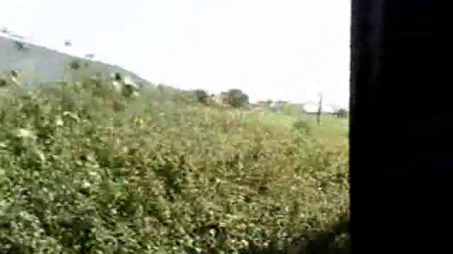 Боржавська вузькоколійка (2008) narrow-gauge railroad in Ukraine