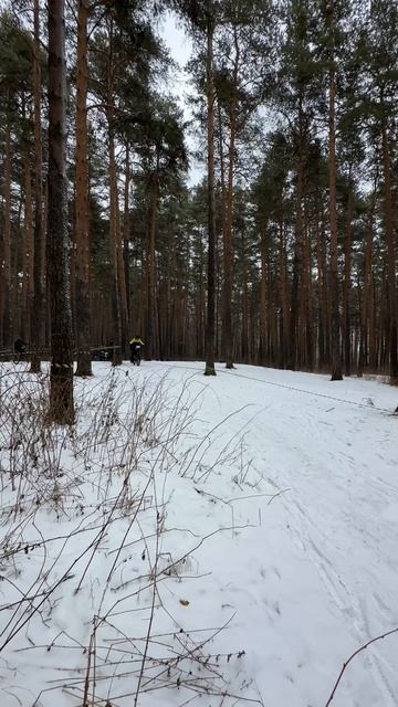 Зимним кантри-кросс велосипед