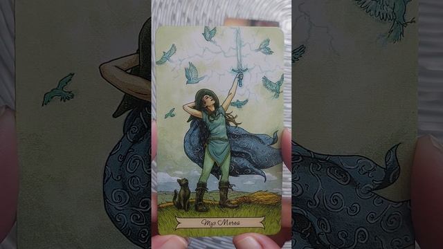 Таро, карта дня