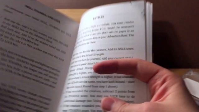 Unboxing a Fighting Fantasy Order From The Alligator's Mouth
