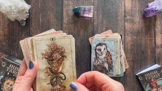 Hush Tarot — обзор за 7 минут / Hush Tarot Flip Through