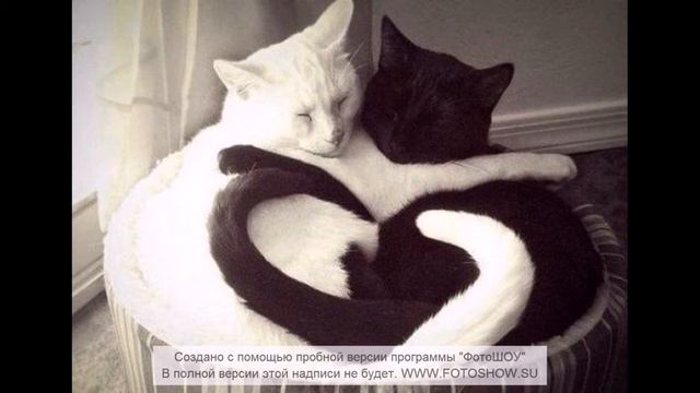 Просто прости "