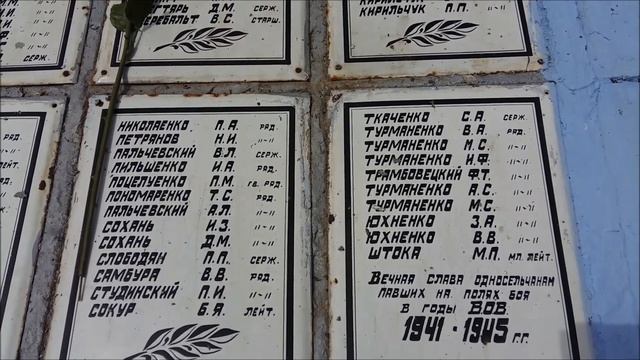 Відео мальви