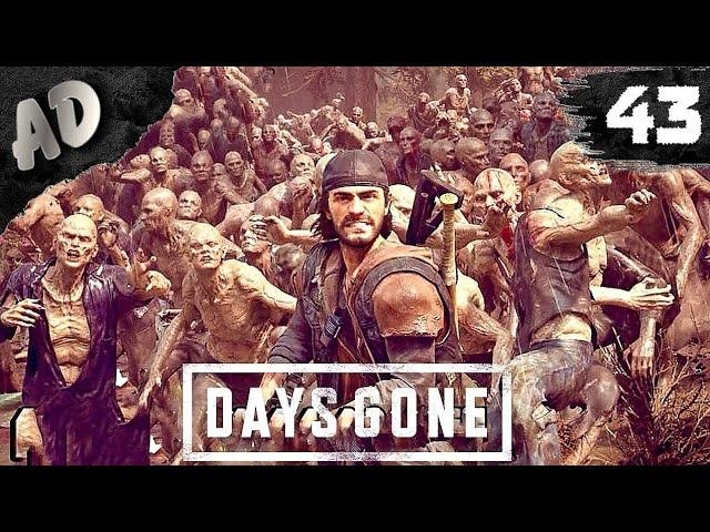 ОРДА ЧЕЛМУТА Прохождение Days Gone Жизнь После на Русском 43