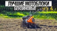 ТОП-5: Лучшие БЕНЗИНОВЫЕ МОТОБЛОКИ (2024) || Рейтинг бензиновых мотоблоков