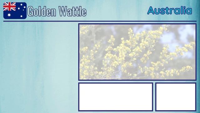 National Flowers of Different Countries Part.1