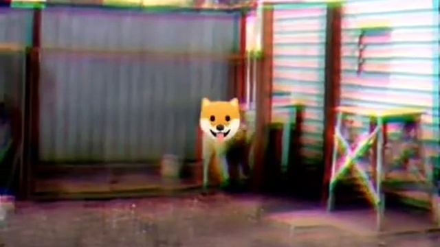 Drum and Bass Dog