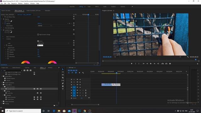 5 FREE Cinematic Luts | Color Grading | How to apply Luts in Adobe Premiere Pro