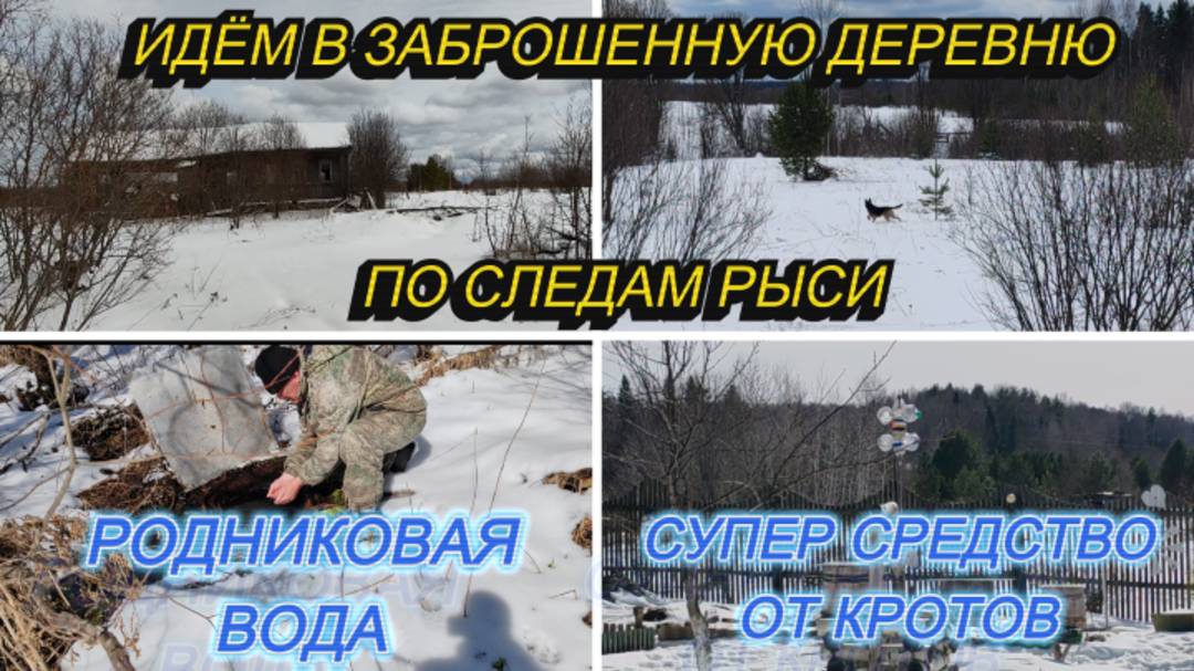 ИДЁМ В ЗАБРОШЕННУЮ ДЕРЕВНЮ ПО СЛЕДАМ РЫСИ, ЭФФЕКТИВНОЕ СРЕДСТВО ОТ КРОТОВ