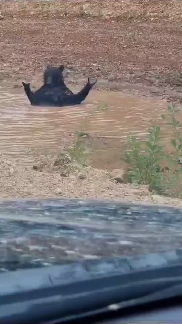 с чистым четвергом