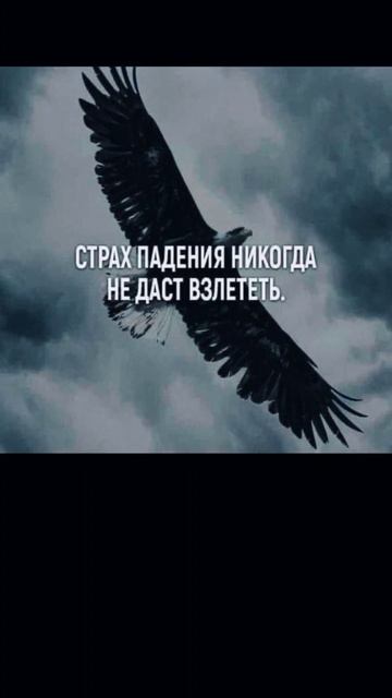 Мысли вслух
