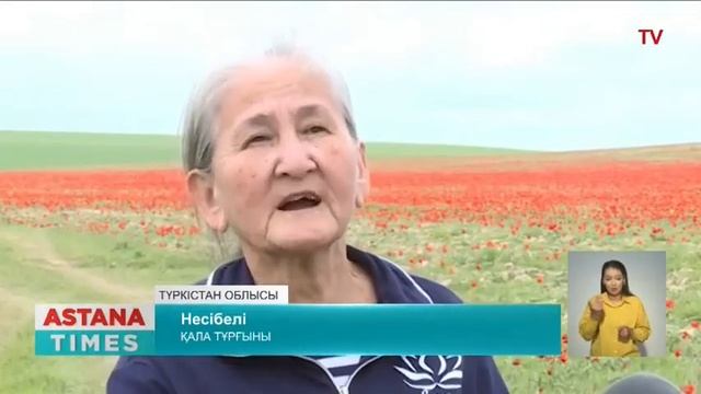 Қызғалдақ жұлғандар 10 млн теңге айыппұл төлейді