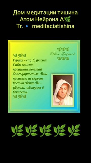 Медитация тишина Атом Нейрона