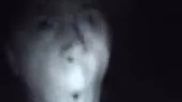 Жопка