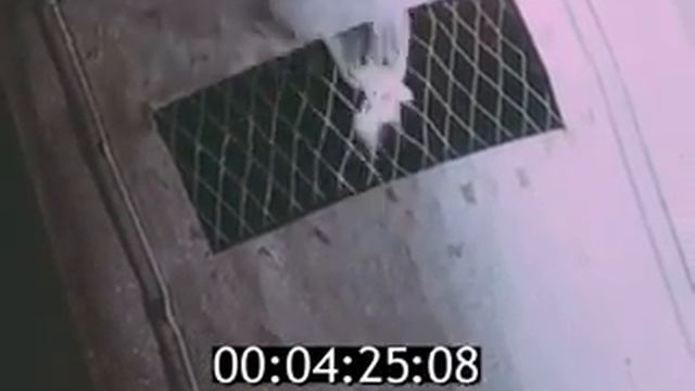 Хранение и товарная доработка плодоовощной продукции   1984г