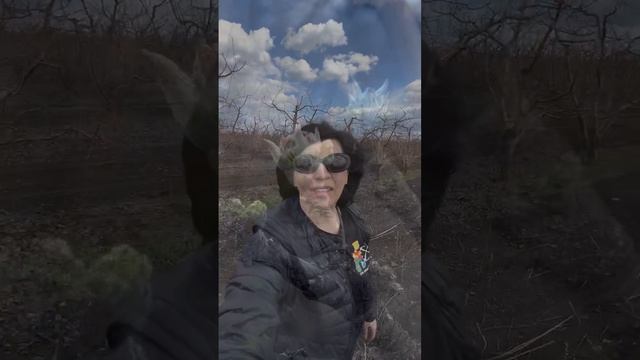 Галина Бобрешова: старт сезона в органическом яблоневом саду