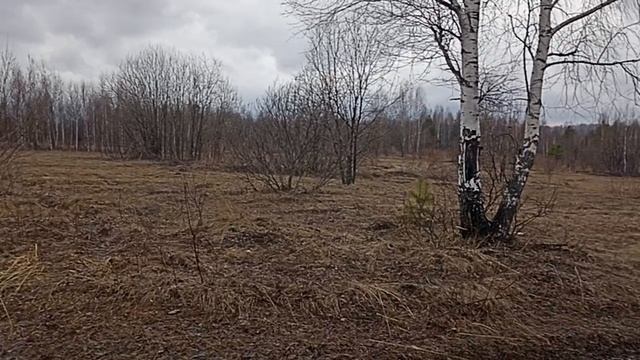 Болото
