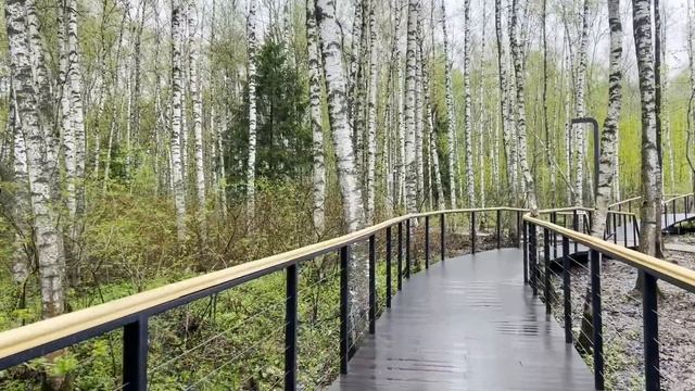 Дорогая, ты как здесь оказалась. Галя приехала к себе на дачу, а там муж со своей бывшей.