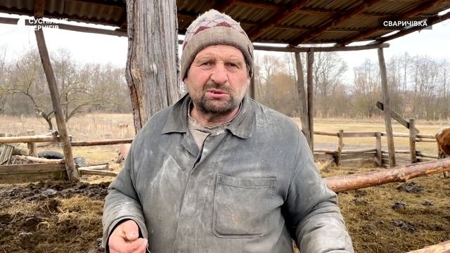 "Худоба боїться не холоду, а голоду": як подружжя з Ічнянщини вирощує корів