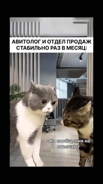 У вас такое бывает? #бизнес #авито #юмор #бизнесвсети #продвижение #маркетинг #авитолог #продажи