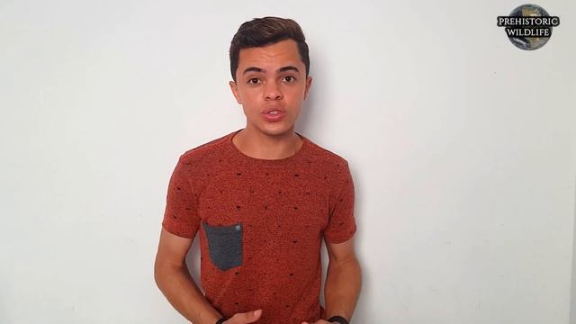 A Evolução de uma Preguiça Nadadora (Thalassocnus)