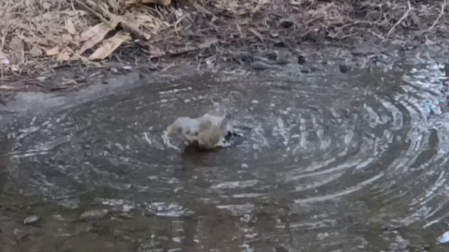 Купальный сезон открыт
