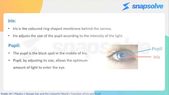 CBSE NCERT Class 10 Physics | The Human Eye & the Colorful World | Function of iris... | SnapSolve