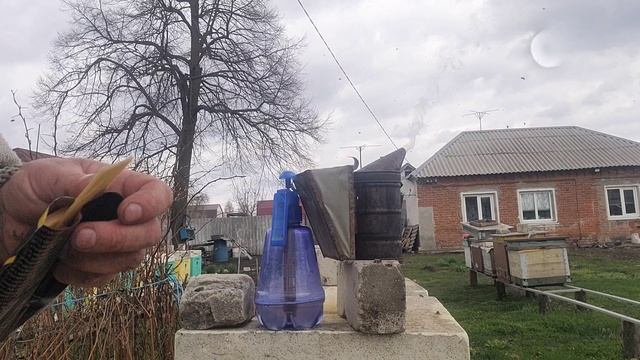 ф.47.ставлю полоски от клеща.14.04.2025.г