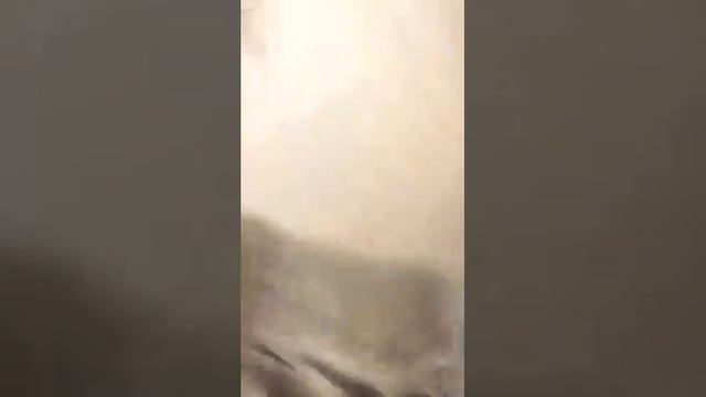 Rosy29   Всем синицам синица