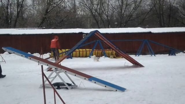 4 01 15 Измайлово Деми А опен