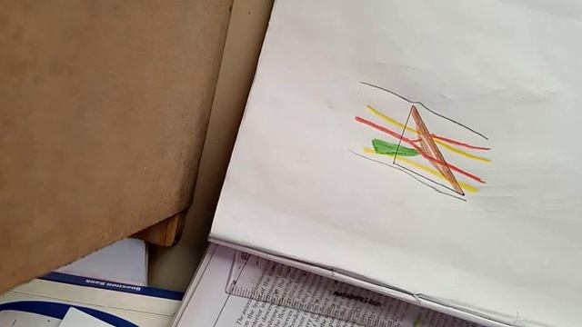 Drawing Cubital fossa