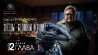 ДЖАМП -1- Звёзды - холодные игрушки -2- АЛАРИ - глава 1 - Сергей ЛУКЬЯНЕНКО | аудиокниги слушать