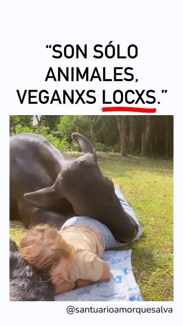 Vaquita y perrito toman el sol con su humana