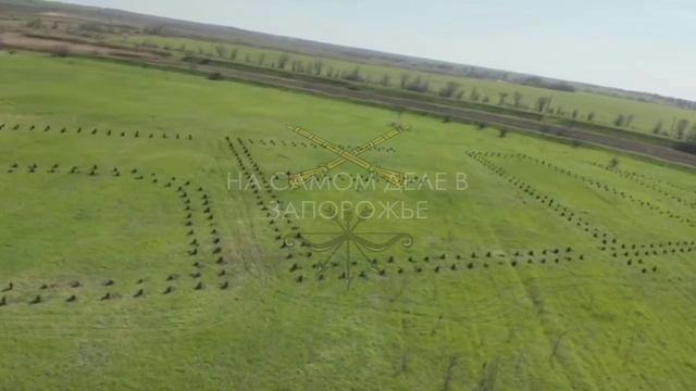 🎗Геоглиф «Победа» с высоты птичьего полета

Геоглиф «Победа» высажен в Приморском районе Запорожско