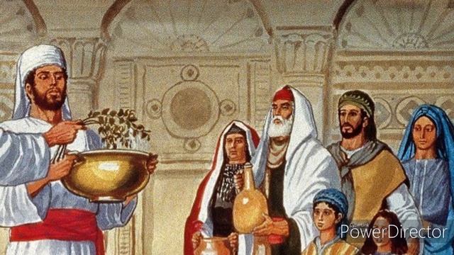 Hyssop and Its Uses in the Bible