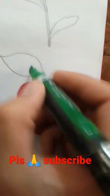 apple 🍎🍎🍎 , how we are drawing it,