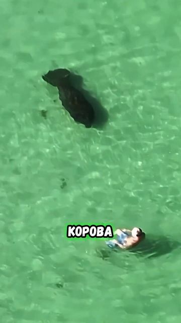 отдых пошёл не по плану....