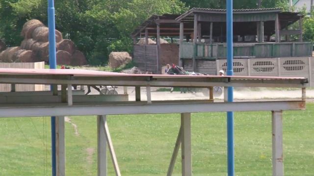 1.07.2023г. Абакан Групповой заезд для Лошадей Орл  Рысистых пород 3-х лет 1600м
