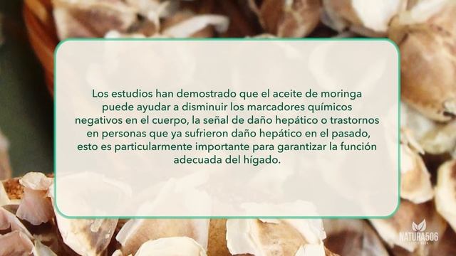 Beneficios del Aceite y Las Semillas de Moringa Parte 3