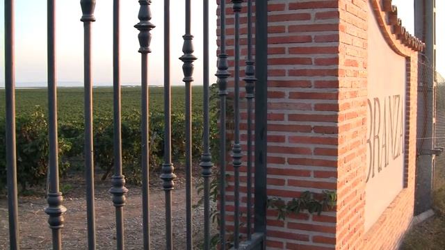 Bodegas Mocén donde nace el Arte
